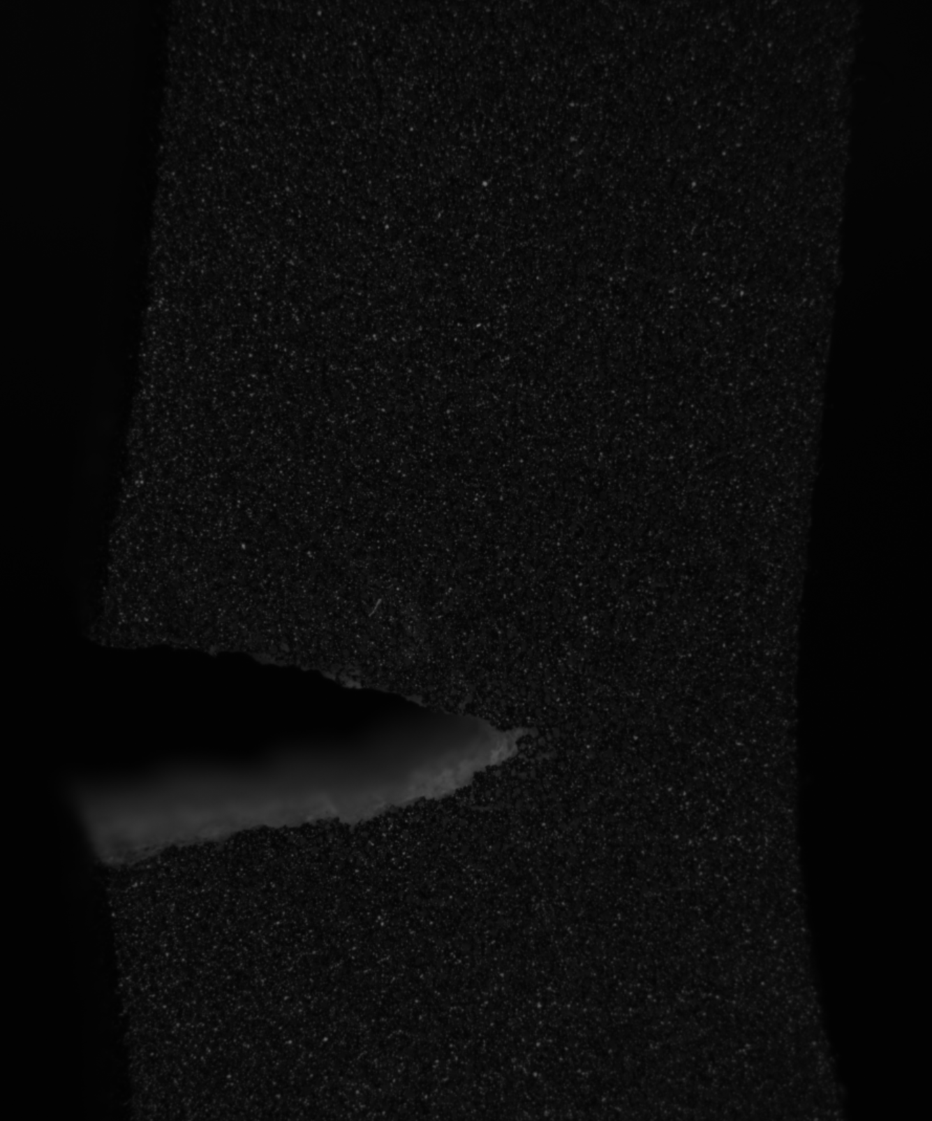 Foam fracture — raw speckle image