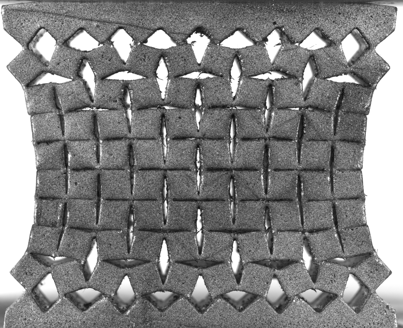 Metamaterial — raw speckle image